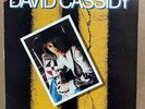 David Cassidy Getting It in the Street 12” Vinyl LP Record