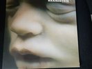 Rammstein - Mutter - First Release Edition 2001 - LP Vinyl + Booklet