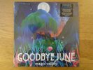 GOODBYE JUNE - MAGIC VALLEY NEW SEALED VINYL LP Interscope 2017