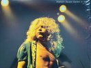 Led Zeppelin / Madison Square Garden In NYC July 1973 DBQP40