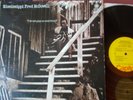 MISSISSIPPI FRED McDOWELL   