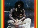 SEALED NEW LP Errol Flabba Holt - Roots Radics Dub