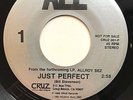 ALL Just Perfect / Sugar and Spice *Promo Silver Label (CRUZ 001-P) Descendents
