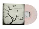 NEW The Airborne Toxic Event VINYL Self Titled Cold War Kids Silversun Pickups
