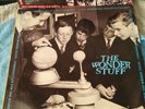 The Wonder Stuff Construction For the Modern idiot Vinyl LP