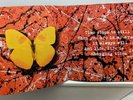 Ed Sheeran Equals Ltd Edition Deluxe Book Clear/Swirl Vinyl,CD, LOVELY GIFT