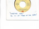 IRON MAIDEN - WASTING LOVE - RARE SPANISH RADIO PROMO COPY