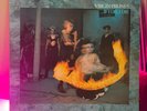 Virgin Prunes, 