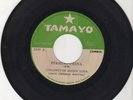 Panama Cumbia 45 Conjunto de Quique Subia - Fermina Ureña Tamayo HEAR