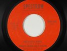 Crossover Soul 45 - Hoagy Lands-Lily Fields - Beautiful Music - Spectrum VG+ mp3