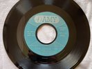 COMPANIONS 45 How Could You?/No Fool Am I AMY 852 doo wop r&b PROMO