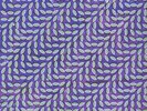 ANIMAL COLLECTIVE - MERRIWEATHER POST PAVILION NEW VINYL