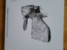 Coldplay – A Rush Of Blood To The Head. (Parlophone –  5405041 LP 180Gram) NM/NM