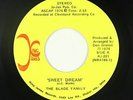 70s Soul Funk 45 - Blade Family - Sweet Dream/My Baby's Gone - King James - mp3
