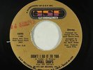 Crossover Soul 45 - Skull Snaps - Didn't I Do It - GSF - VG++ mp3 - promo