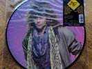 BON JOVI Slippery When Wet 1986 LE Picture Disc LP Record w/ Clear Vinyl Cover