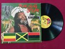 Burning Spear / Jah Kingdom / Burning Spear 1991 / Rare Reggae Vinyl LP