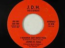 Modern Soul/Funk Boogie 45 - James D. Hall - I Wanna Get Into You - J.D.H. - mp3