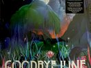 GOODBYE JUNE {Magic Valley} Vinyl LP Record Jul-2017 W/Full Album Download Card