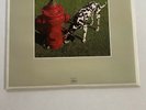 Rush - Signals - Used LP - US 1982 Mercury SRM-1-4063 - NM Vinyl & EX Cover
