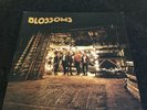 Blossoms Vinyl 12” (Blossoms Self Titled Debut Album)