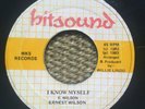 Ernest Wilson - I know myself - hitsound label - reggae 7 - rare 80s cut