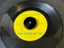 GYPSY DREAM ROCKING HORSE RECORDS VG+ CONDITION RARE POWER POP 45RPM