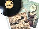 NEUTRAL MILK HOTEL IN THE AEROPLANE OVER THE SEA VINYL LP with ART PRINT