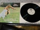 LP Rod Stewart  An Old Raincoat Won´t Ever let you down 1969 VO4-Vertigo 847200