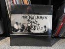 THE WALKMEN - 