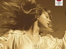 Taylor Swift - Fearless Target Exclusive [3LP] Red Vinyl NEW BENT CORNERS