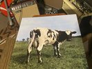 PINK FLOYD ATOM HEART MOTHER [LP] VINYL RECORD Dark Side Moon Animals