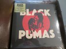 BLACK PUMAS (WHITE LP) 12