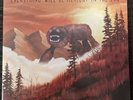 Weezer - Everything Will Be Alright in the End (LP Vinyl Record, 2014)