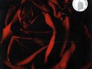 VINYL Rosanne Cash - Black Cadillac