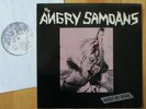 ANGRY SAMOANS debut 12” correct matrix FIRST US PRESSING 'Inside My Brain' 1980