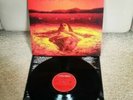 Alice In Chains - Dirt - Vinyl - Music On Vinyl Reissue
