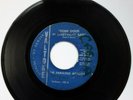 Fabulous Apollos - Some Good In Everything Bad VALTONE  VG