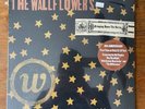 The Wallflowers  Bringing Down The Horse  vinyl 2LP 20th Anniversary Mint Sealed