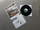 Dodgy-Homegrown LP (540 282-1)