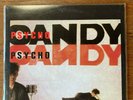 PSYCHO CANDY BY THE JESUS AND MARY CHAIN 12