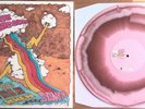 The Unicorns - Who Will Cut Our Hair When We're Gone Vinyl LP Pink / Brown