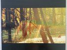 CHILDISH GAMBINO Camp 2xLP 2022 hip hop limited reissue red vinyl NEAR MINT