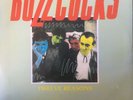 BUZZCOCKS - Twelve Reasons 1976 Demos 2xLP . Devoto Sex Pistols Clash