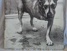 Alice In Chains – Alice In Chains LP Record Vinyl