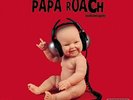 PAPA ROACH Lovehatetragedy VG+ Vinyl