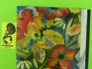 Adrianne Lenker Songs And Instrumentals - LP Record Vinyl Album 12
