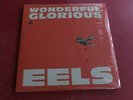 Eels - Wonderful, Glorious 2013 Cobraside 2x 10