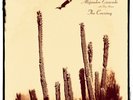 Alejandro Escovedo - Crossing LP NEW