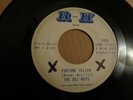THE DEL-RAYS Fortune teller R and H 1005 Org 1965 ALABAMA GARAGE BAND 45